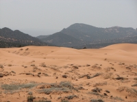 Coral Pink Sand Dunes